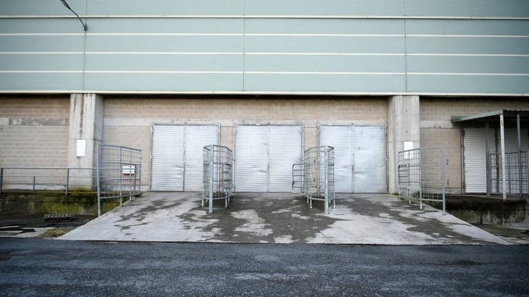 Medio Rural sopesa mantener el cierre de ferias de ganado por la dermatosis