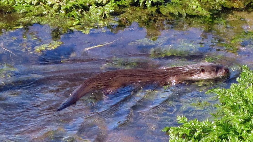 Santiago se une a la Hora del Planeta.Litoral de Corme, en Ponteceso, incluido en la Red Natura