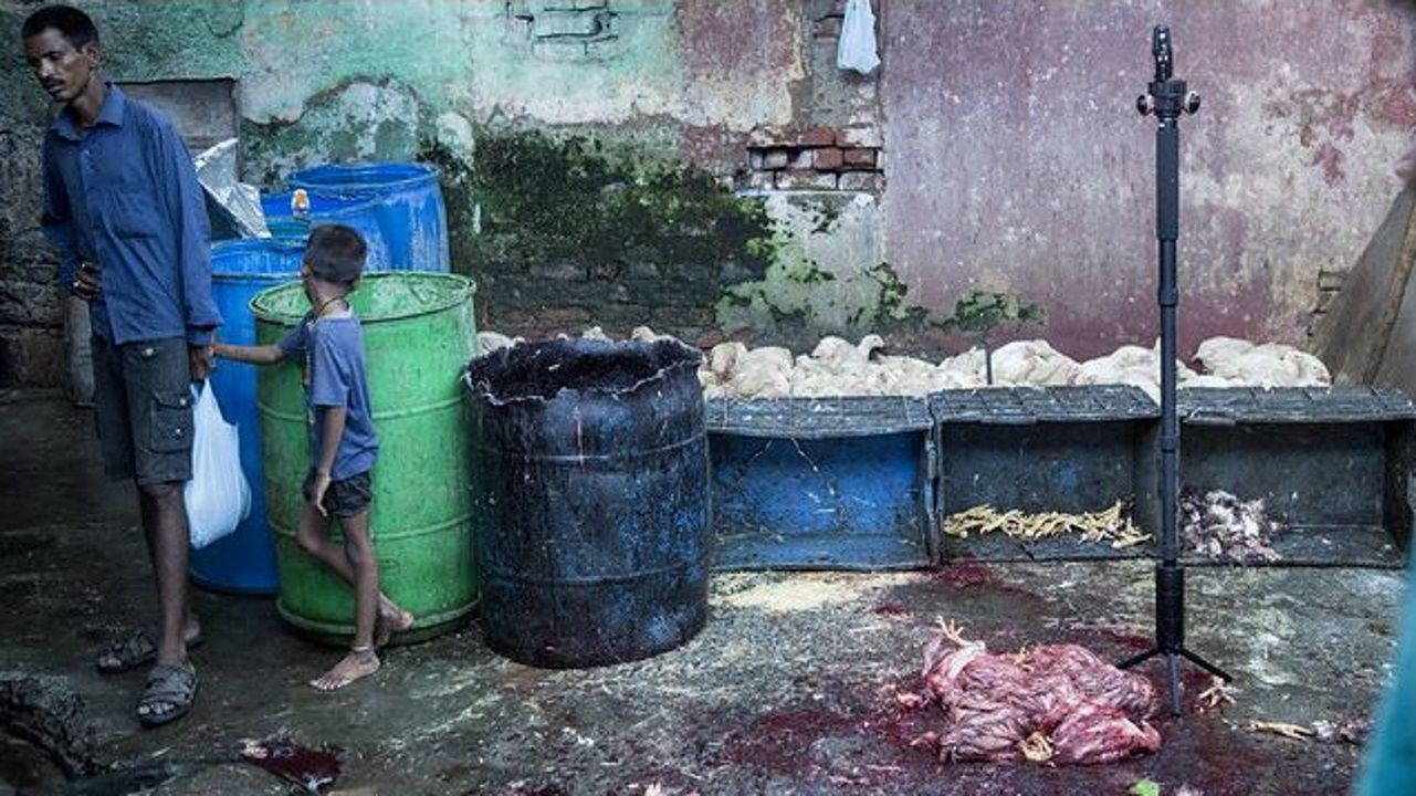 Atraco en una�farmacia de A Coru�a.Presentaci�n del plan estrat�gico para el Xacobeo 2021