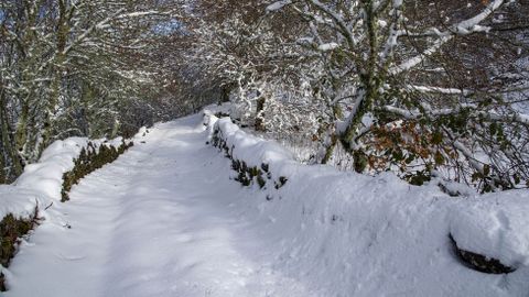 Camino cubierto de nieve en el entorno de A Veneira