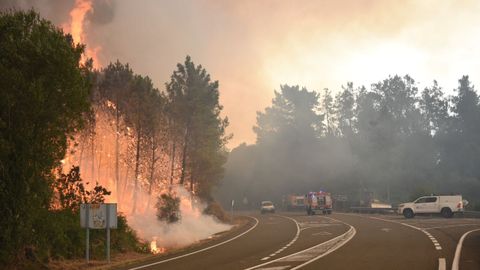 Incendio en Sanguiñedo, Dozón