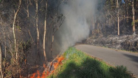 Más imágenes de la zona quemada en Bexo