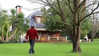 Fernando se dirige entre los �rboles americanos, hacia su chal� en Mani�os (Fene). 