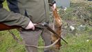 Un cazador sostiene una escopeta y un zorro en una imagen de archivo
