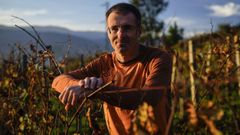 El viticultor y bodeguero Bernardo Estévez es uno de los protagonistas del artículo de Luis Gutiérrez