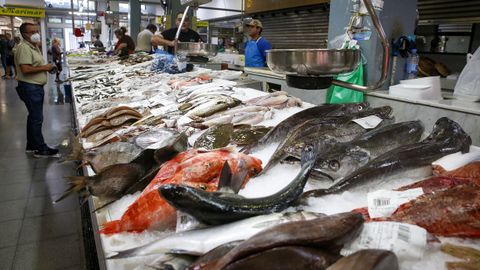 Pescados y mariscos para todos los gustos y todos los bolsillos