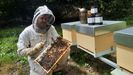 Alberto Vidal, apicultor en el Xurés, que cosecha miel de bosque con la marca Esmelga.
