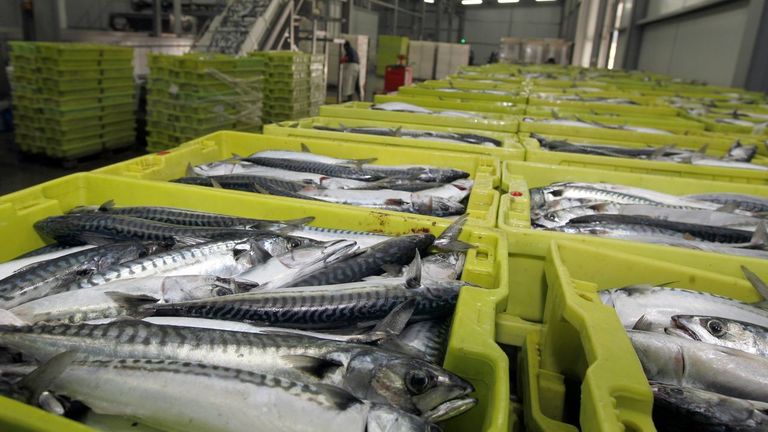 La Comisión verá si se ajusta a derecho el reparto de xarda que deja fuera a la UE