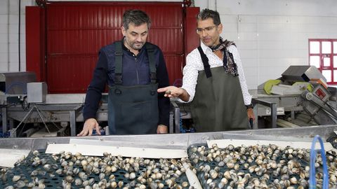 O cocieiro Paco Roncero visita s mariscadoras no marco das Xornadas do Berberecho de Noia