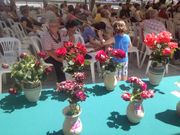 ...Concurso de rosas de Mos