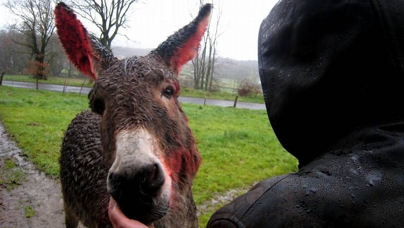 Los jugadores del Sevilla Reyes y Navas con el cartel del marat�n de f�tbol sala de samos