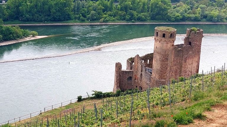 Dos escapadas: El legendario valle del Rin y los rascacielos de Fráncfort
