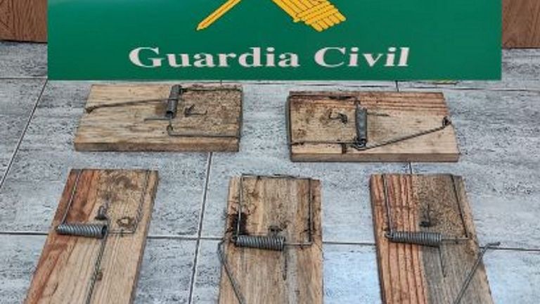 Trampas incautadas por la Guardia Civil en Oímbra