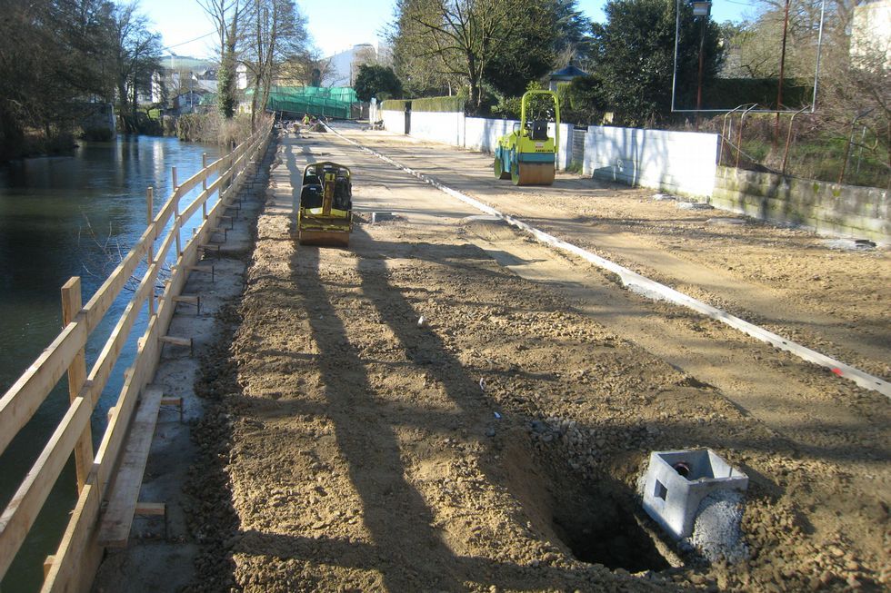 Claudio Garrido ayer en la feria de Sarria desarrollando su trabajo como veterinario. 