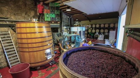 Los depósitos de madera se reservan para los vinos que pasan por una crianza prolongada