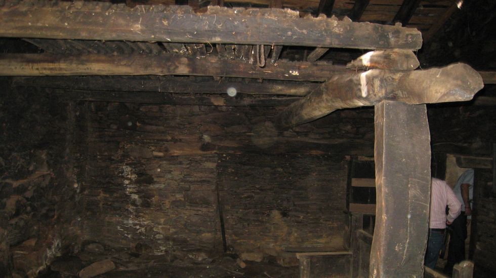 Los perros abandonados con una de las personas que los recogi� el pasado viernes. 