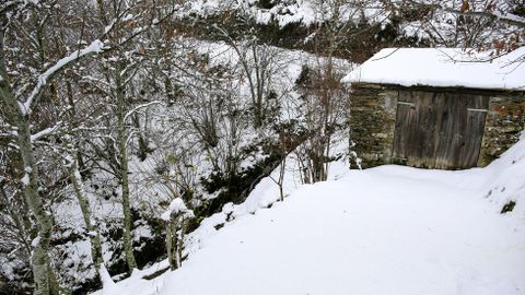 La nevada del 30 de diciembre en Pedrafita do Courel