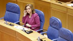 La conselleira de Emprego e Igualdade, Elena Rivo, en el Parlamento.