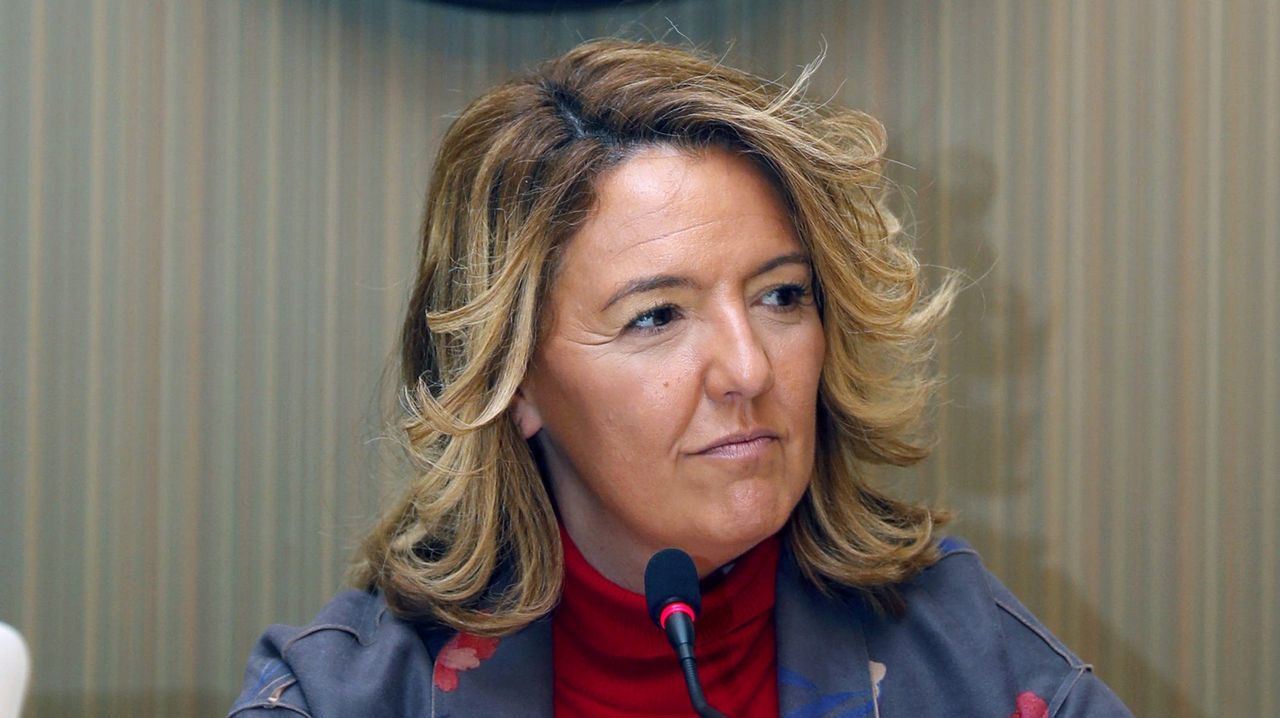 La candidata del PP al Gobierno del Principado, Teresa Mallada, durante la presentaci�n su p�gina web