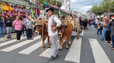 Por la tarde fue el desfile de carros y «xugadas tradicionais».