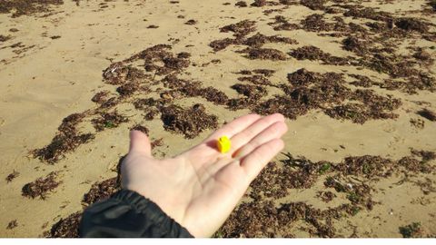 Basura arrastrada por la marea a la playa de San Lorenzo de Gijn.Una pieza de lego