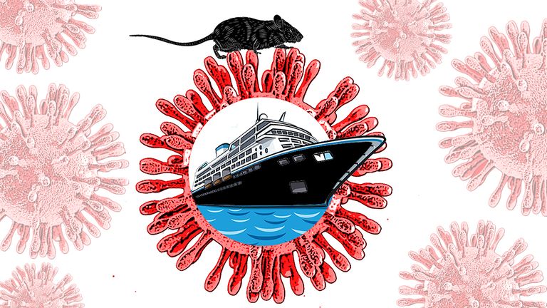 El hantavirus no supone un riesgo para la población