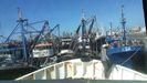 Enjambre de mástiles en un colapsado puerto de Dajla