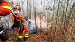 Efectivos de la UME en Naves realizadon labores de ataque directo al fuego con herramienta manual y autobomba