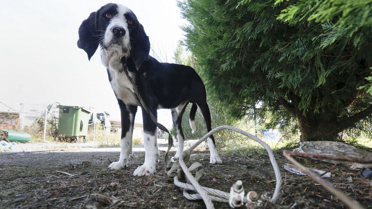 Jornada de puertas abiertas en Cementos Cosmos