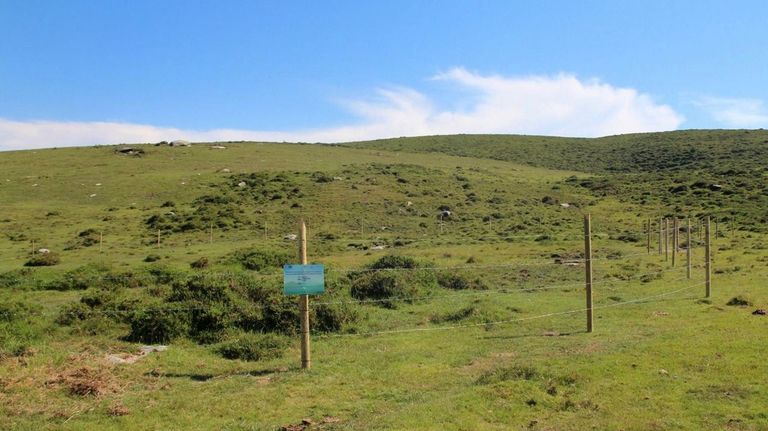 Terras do Miño entra en una red internacional de espacios protegidos gracias a las turberas de O Xistral