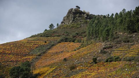 En lo alto de esa roca sobre las viñas de Doade está el mirador de Pena do Castelo