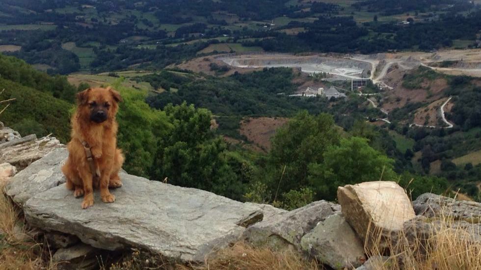 Y Kruguer encontr� familia en el Camino