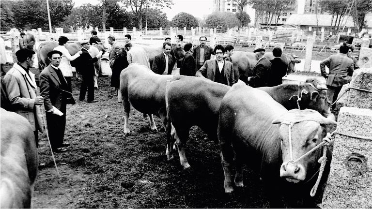 Precios disparados y la entrada de la mujer al mercado laboral: así era nuestra economía en 1975