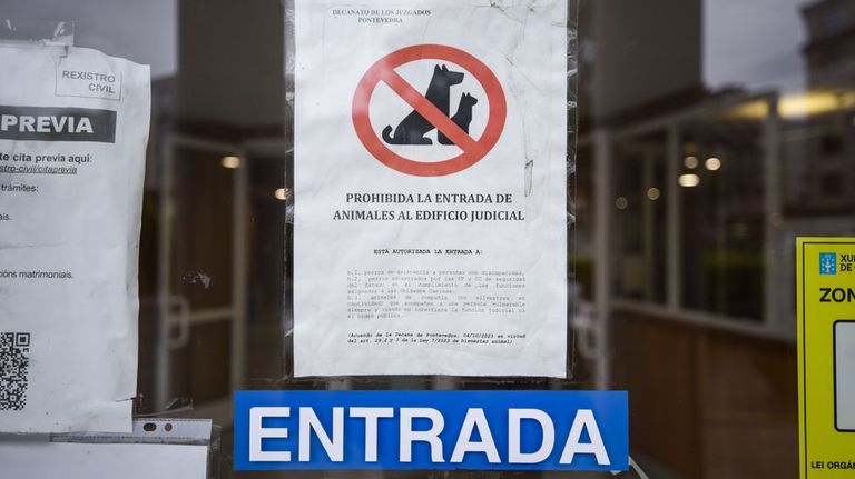 Un abogado llega al Supremo reclamando que le dejen trabajar en el juzgado de Pontevedra acompañado de su caniche porque le da «sosiego»