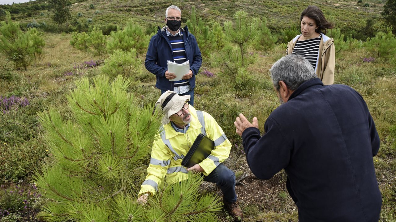 La rotacin de cultivos ayuda a regenerar los suelos