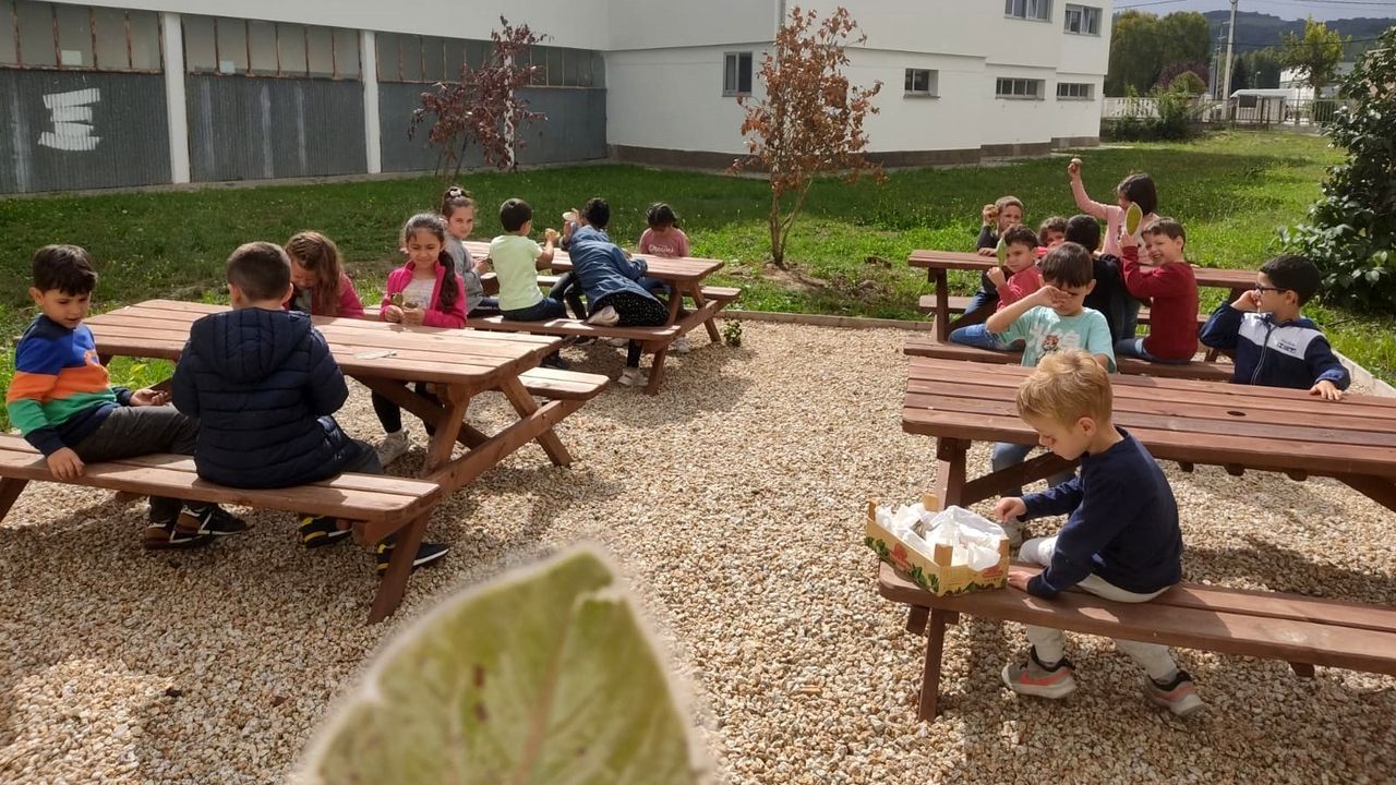 El aula al aire libre del colegio de Sarria se cre en un espacio que antes no tena aprovechamiento