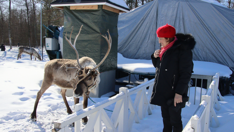 La madre de Constantino durante su visita en Semana Santa. El gallego destaca que la fauna de Finlandia es una de las cosas que más le sorprendió al llegar. No solo se ven renos o alces, sino todo tipo de aves migratorias.
