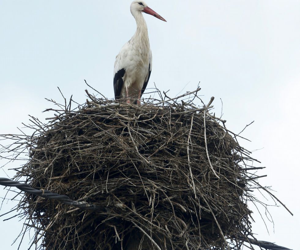 <span lang= es-es >Curso de buceo</span>. Ayer hubo un bautismo de buceo en la piscina de Frigsa, gracias a unos cursos en los que participan 500 personas, con el fin de promocionar el submarinismo en A Mari�a. 