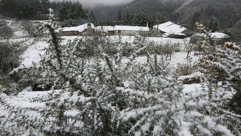 Nieve en la carretera de Viveiro-Cabreiros, a la altura de Ourol