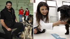 De izquierda a derecha, Mariano Chico, adiestrador canino profesional y ngela Gonzlez, veterinaria especialista en medicina del comportamiento