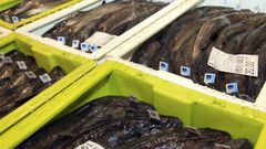 Puerto de Celeiro comercializa distintos tipos de merluza fresca de Gran Sol, la misma que dona para ayudar a los ms desfavorecidos de Viveiro