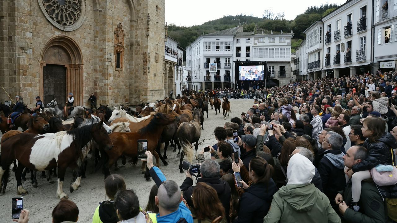 Llegada a Noalla en Sanxenxo de un peregrino franc�s que hizo el Camino de Santiago desde Alsacia.Descenso del ganado en la As San Lucas de Mondo�edo en la edici�n de 2026