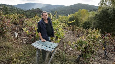 Un viejo pousadoiro para los cestos de uvas en las viñas de Arribada