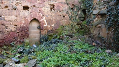 Maleza y escombros en los ruinas de la antigua fundacin monstica