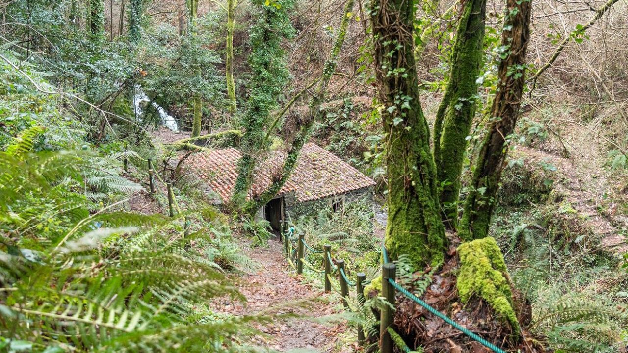 carral.Redes e nasas, nunha imaxe de arquivo tomada en Malpica 