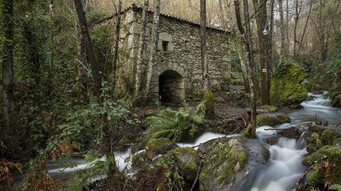 Uno de los molinos llamados de Nemesio da Boca