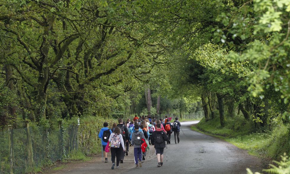 Antonio Gonz�lez t�cnico de la empresa p�blica Seaga // sult�n de torynmus.Un grupo de escolares de Madrid, a su paso por el Camino en Vilamaior, el pasado jueves. 