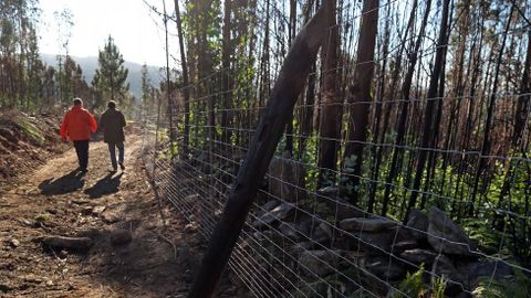 Zonas quemadas en el gran incendio de agosto en las parroquias de Xuo y Caamao