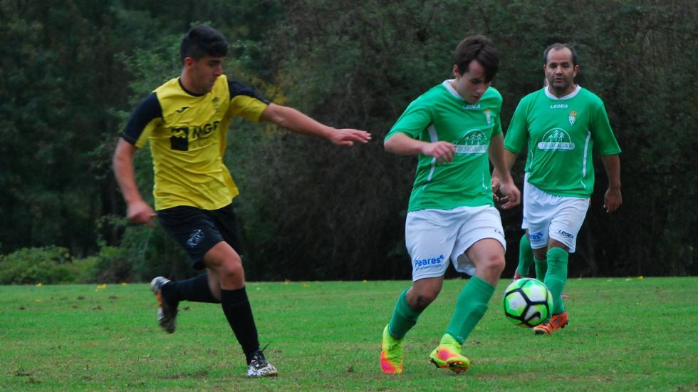 Roban cuatro aves ex�ticas valoradas en 4.000 euros en una finca de Sarria