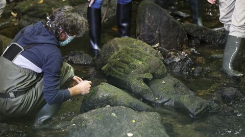 La Virgen gtica hallada en el ro Sar por un pescador